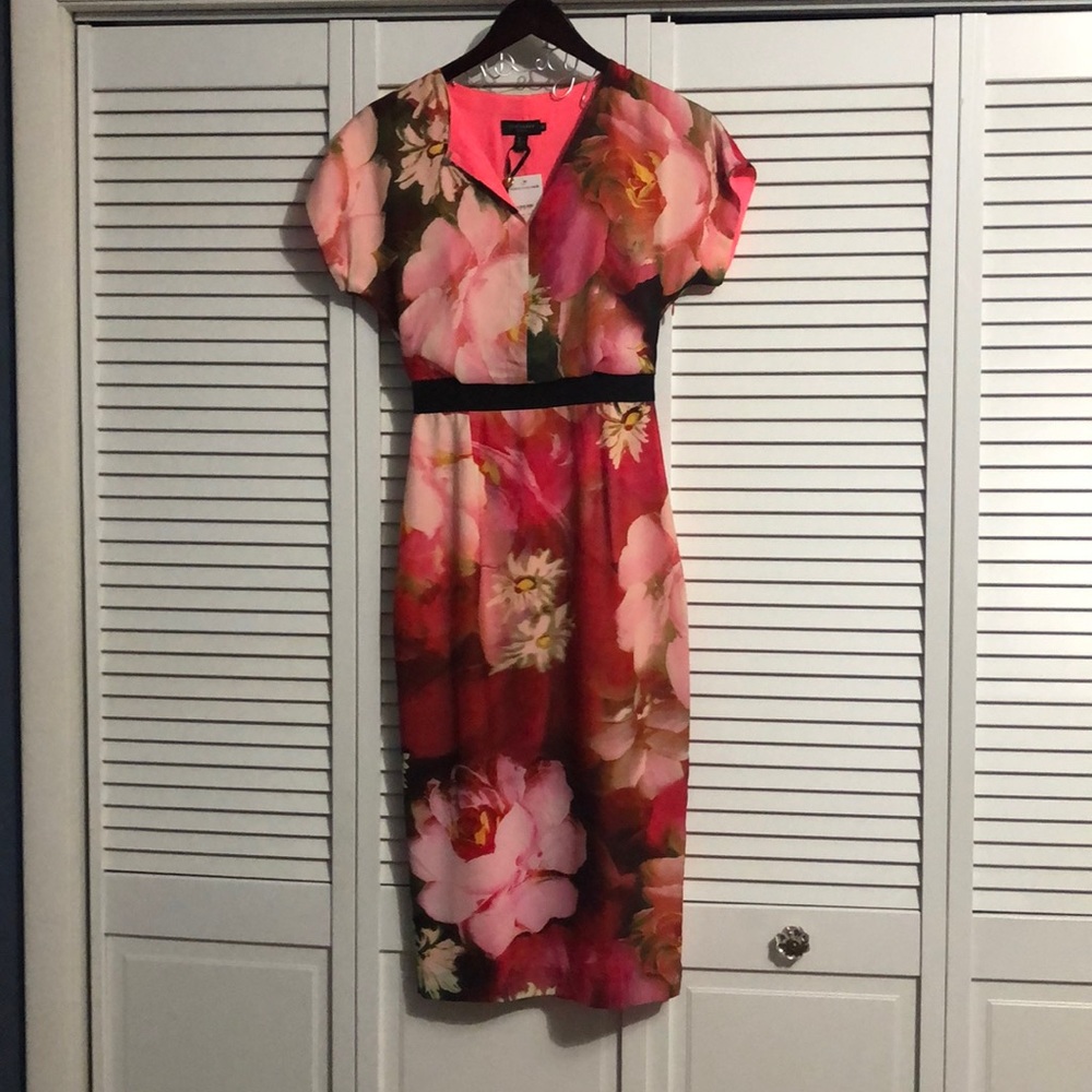 Ted Baker Dress